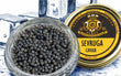 Caviar SEVRUGA - Acipenser Stellatus